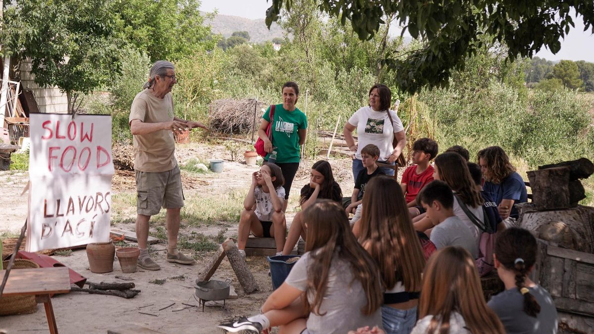 Más de 200 jóvenes participan en talleres de huerta educativa en Ontinyent