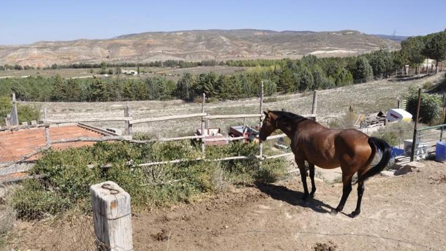 El instituto geológico confirma la sismicidad del suelo del hospital