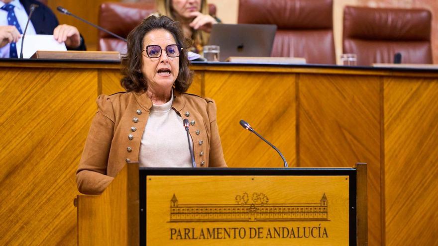 La consejera de Salud, Catalina García, este miércoles en el Pleno del Parlamento / Joaquín Corchero/EP