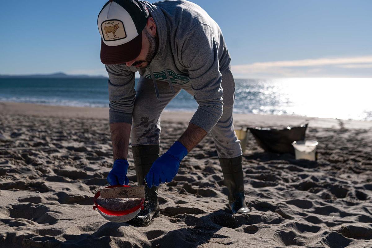 Contaminación marina por el vertido de pellets en la costa gallega