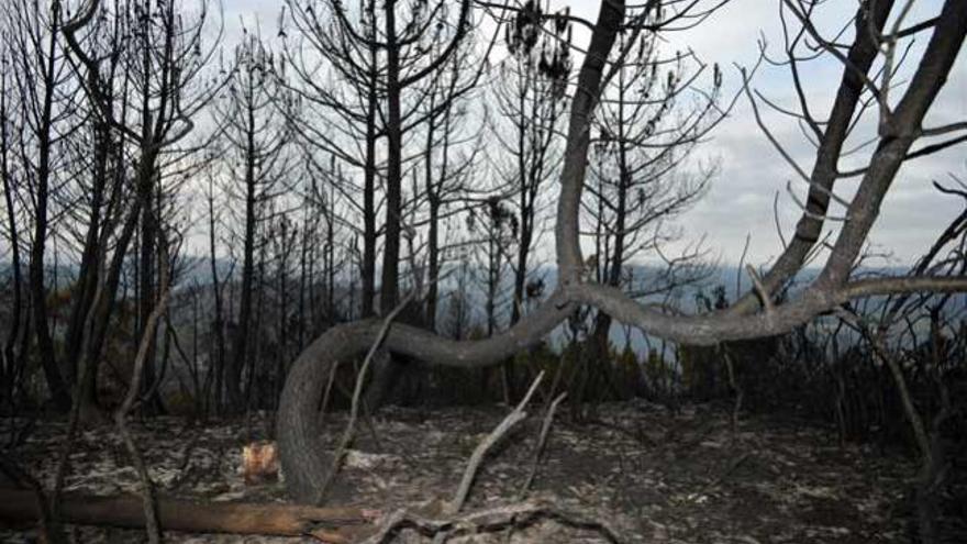 El incendio de Ponte Caldelas, dos días después de iniciarse