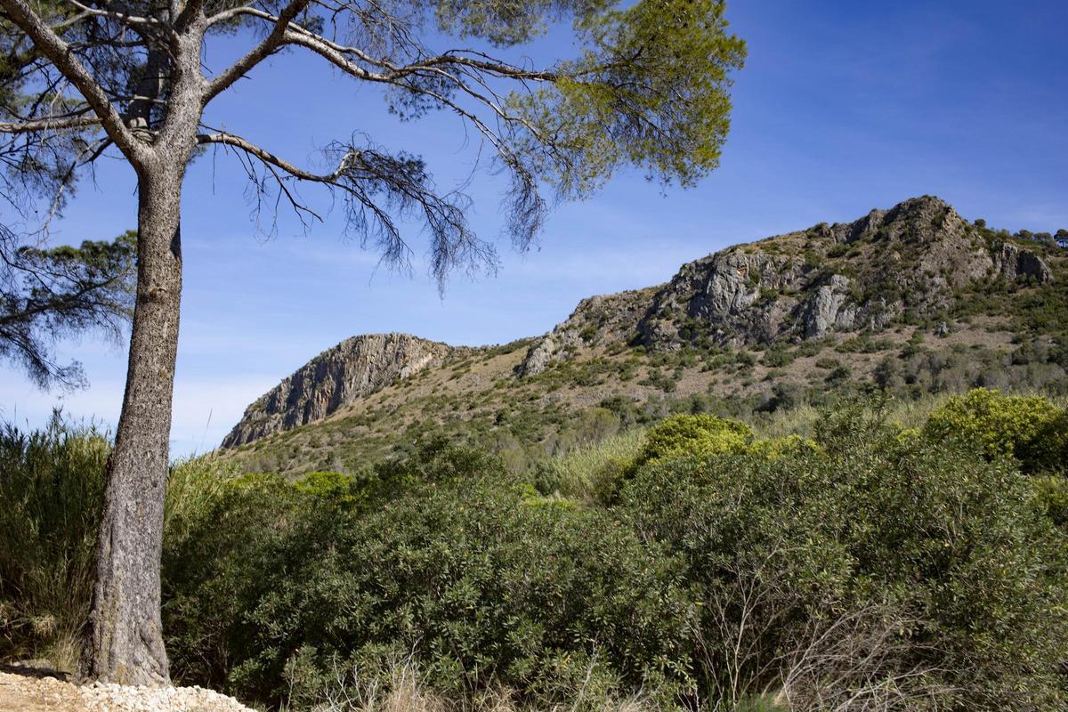 Paraje natural de la Casella.