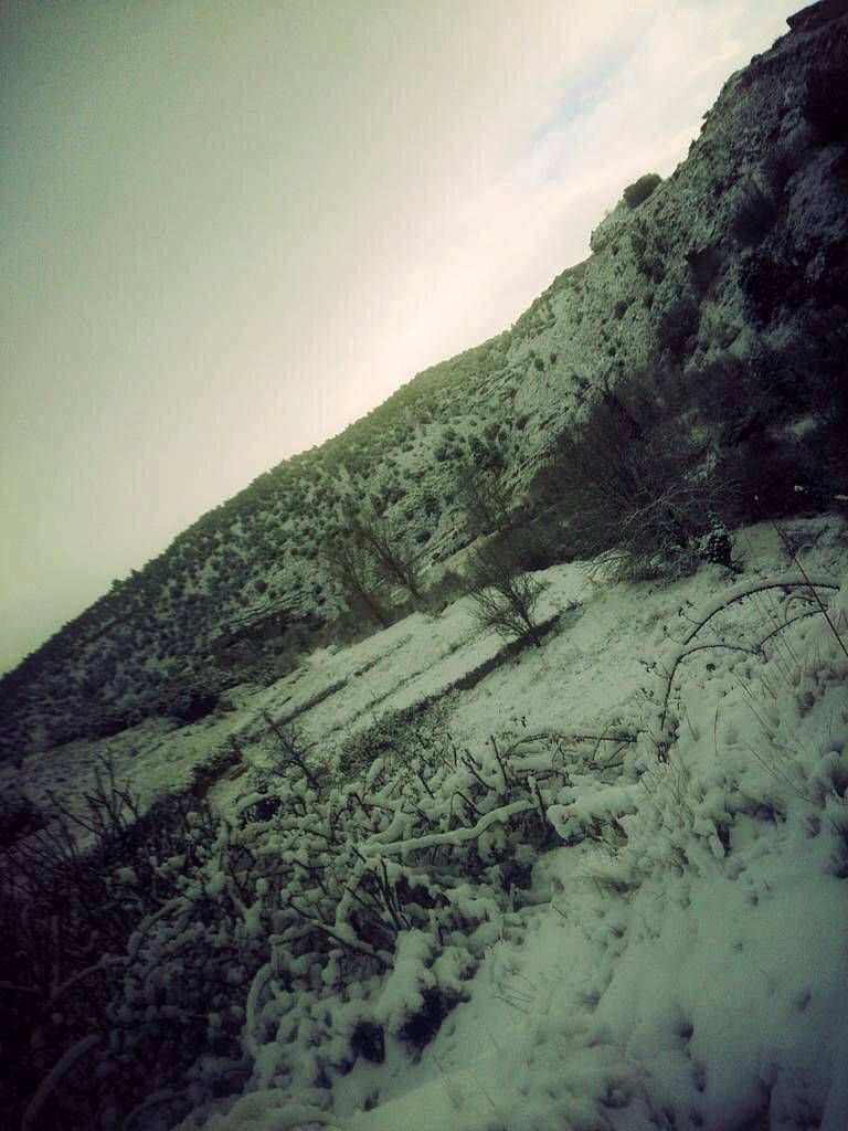 Fotogalería: Un manto blanco cubre gran parte de Aragón