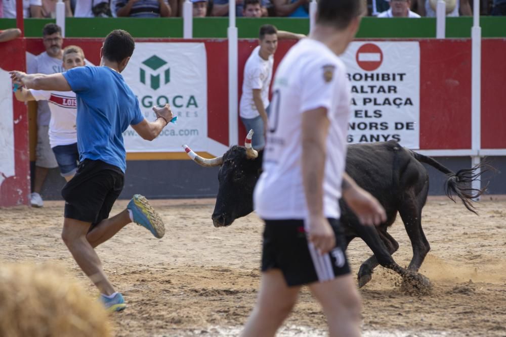 Vidreres celebra els correbous entre les protestes dels animalistes