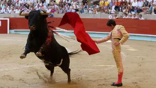 Castella reconquista Pontevedra y Emilio de Justo, en su debut, falla con el estoque