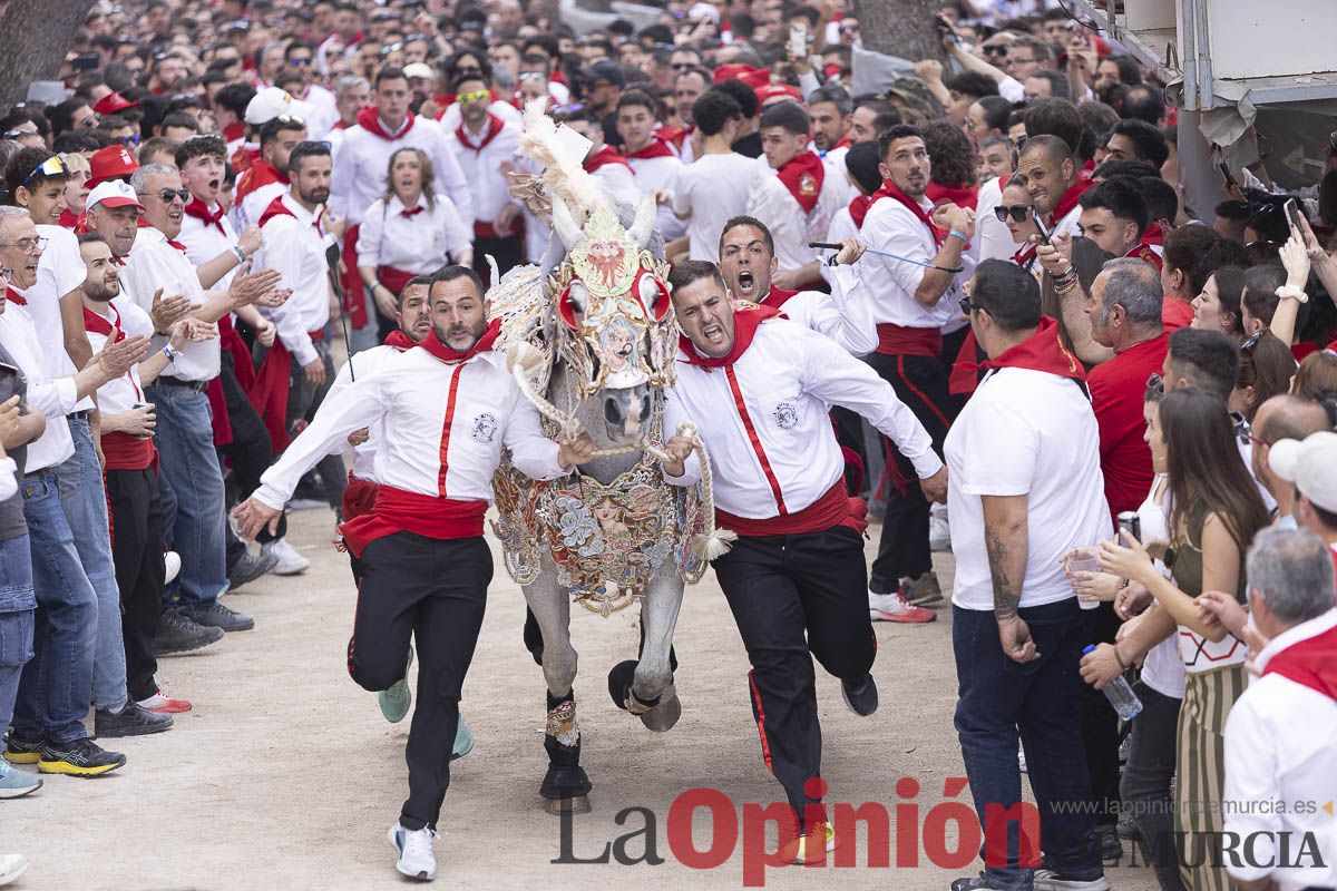 Así se ha vivido la carrera de Los Caballos del Vino en Caravaca