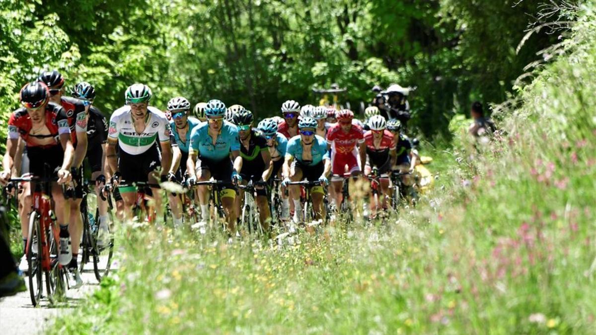 La serpiente multicolor subirá el jueves el mítico Alpe d'Huez