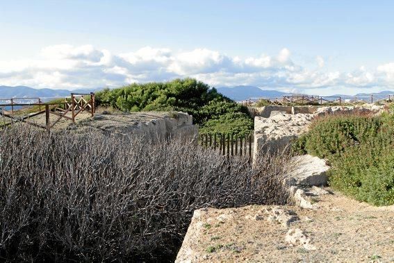 In Es Carnatge, dem letzten unverbauten Küstenabschnitt Palmas, aasten einst die Geier. Nun soll hier ein Park entstehen.