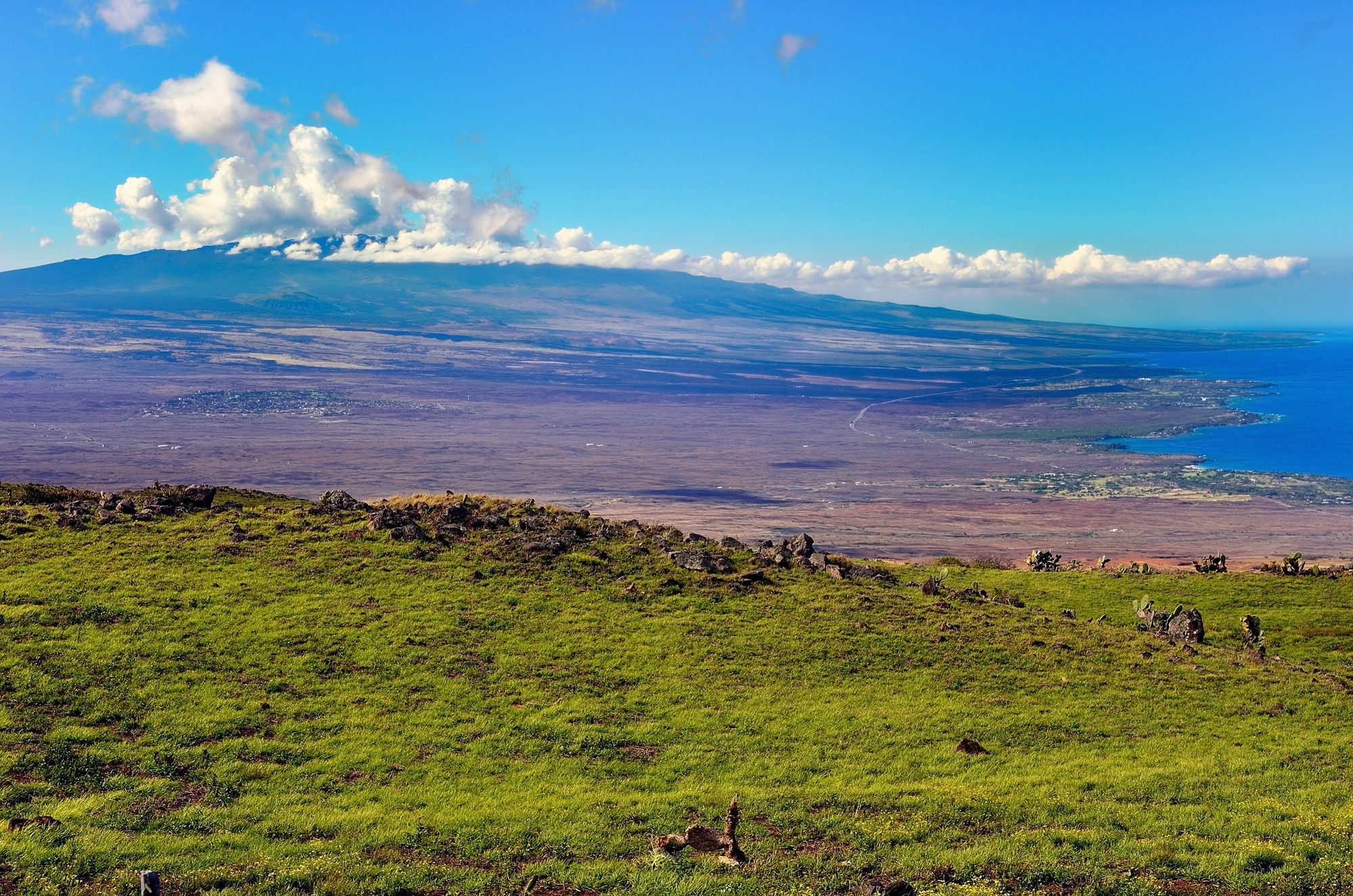 Mauna Loa