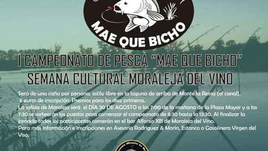 Cartel del campeonato de pesca de moraleja del Vino.