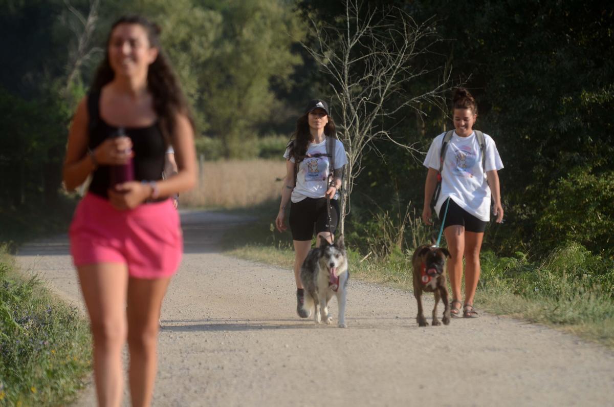Un tramo del Camino, en Caldas.