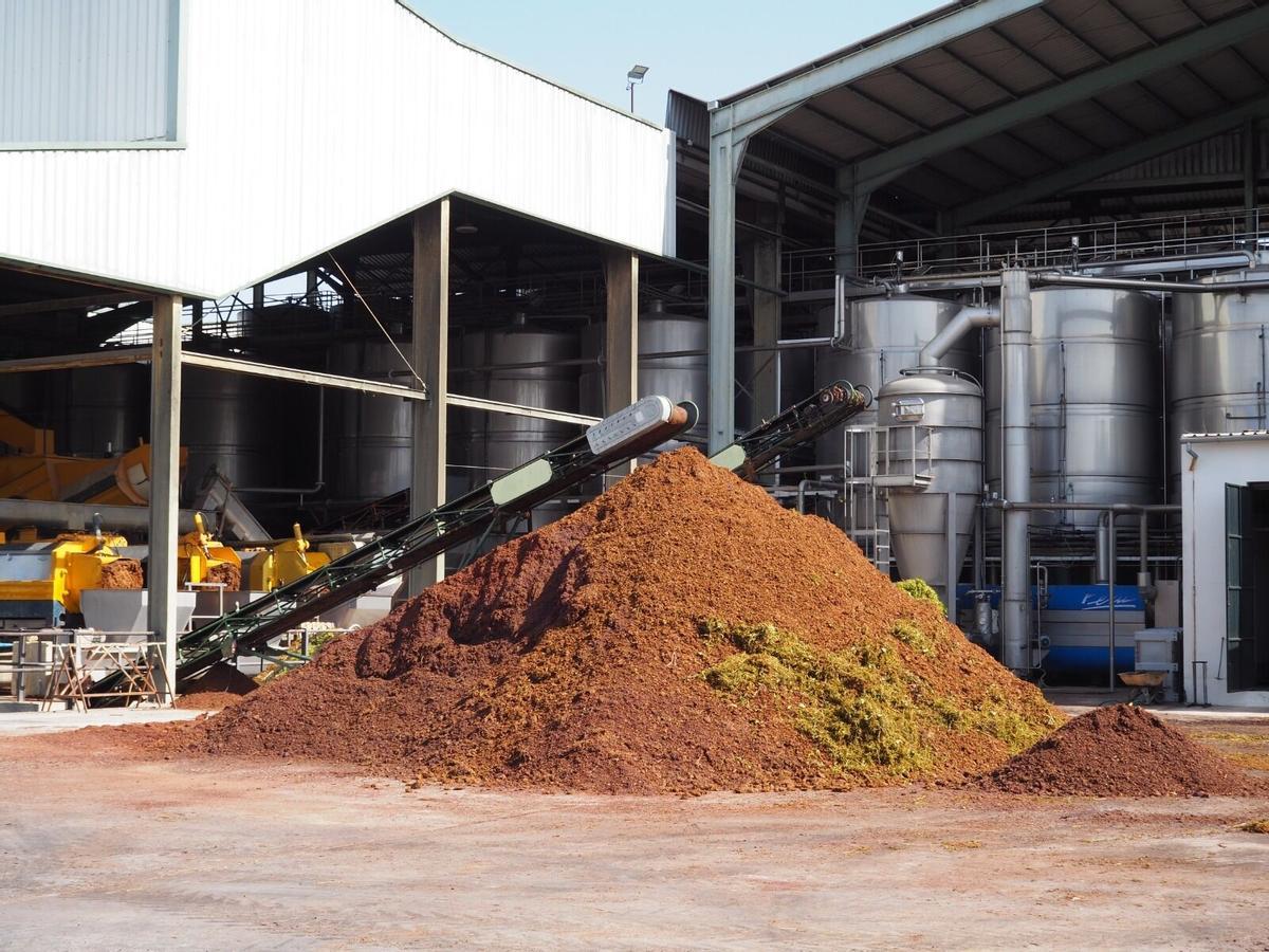 Residuos de uva Pedro Ximénez en la Cooperativa Agrícola La Unión de Montilla.