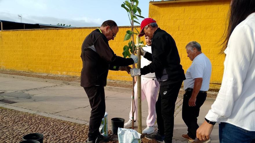 Plantación simbólica en Villarrubia: los vecinos reclaman al Ayuntamiento más atención y cuidados para la barriada
