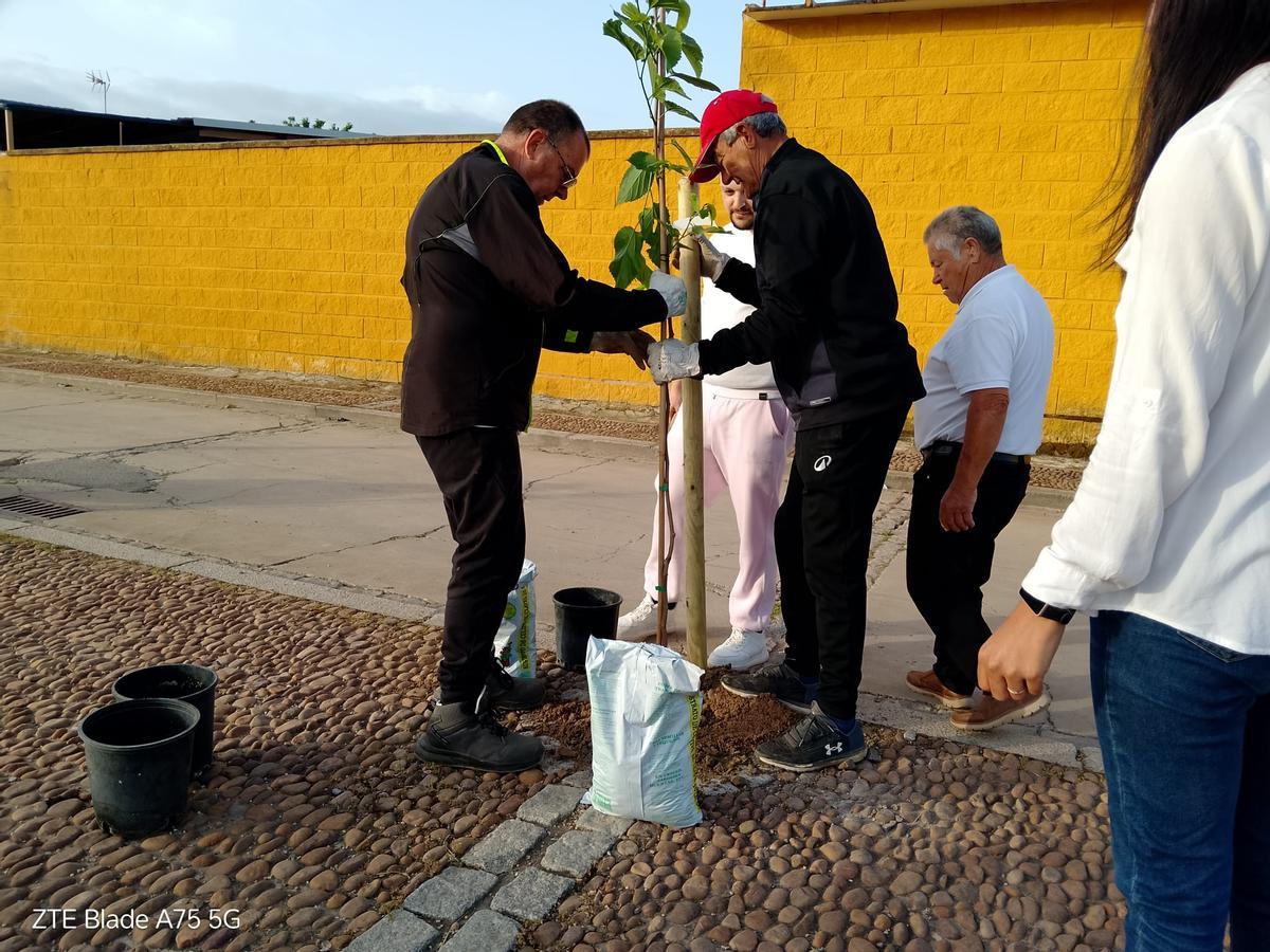 Los vecinos de Villarrubia han llevado a cabo una plantación simbólica de árboles en la barriada.