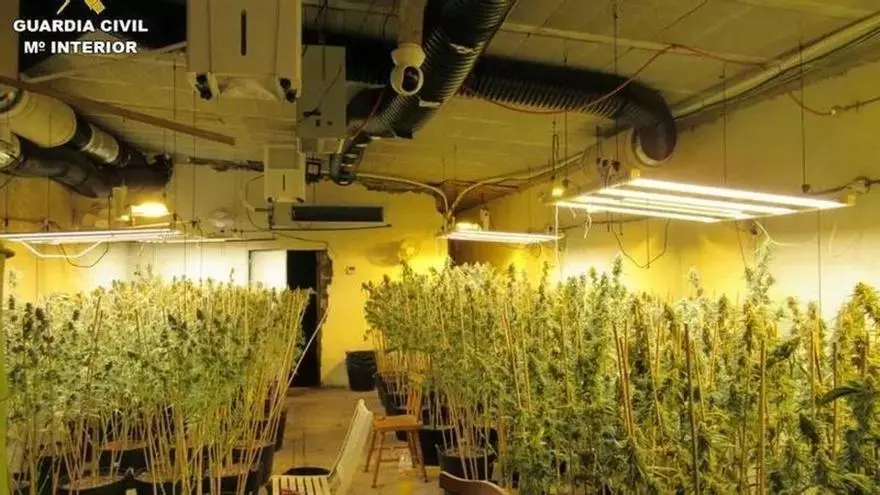 Vídeo: Absueltos siete acusados de tráfico de drogas al declarar ilegal el registro de una nave en Alicante donde había marihuana