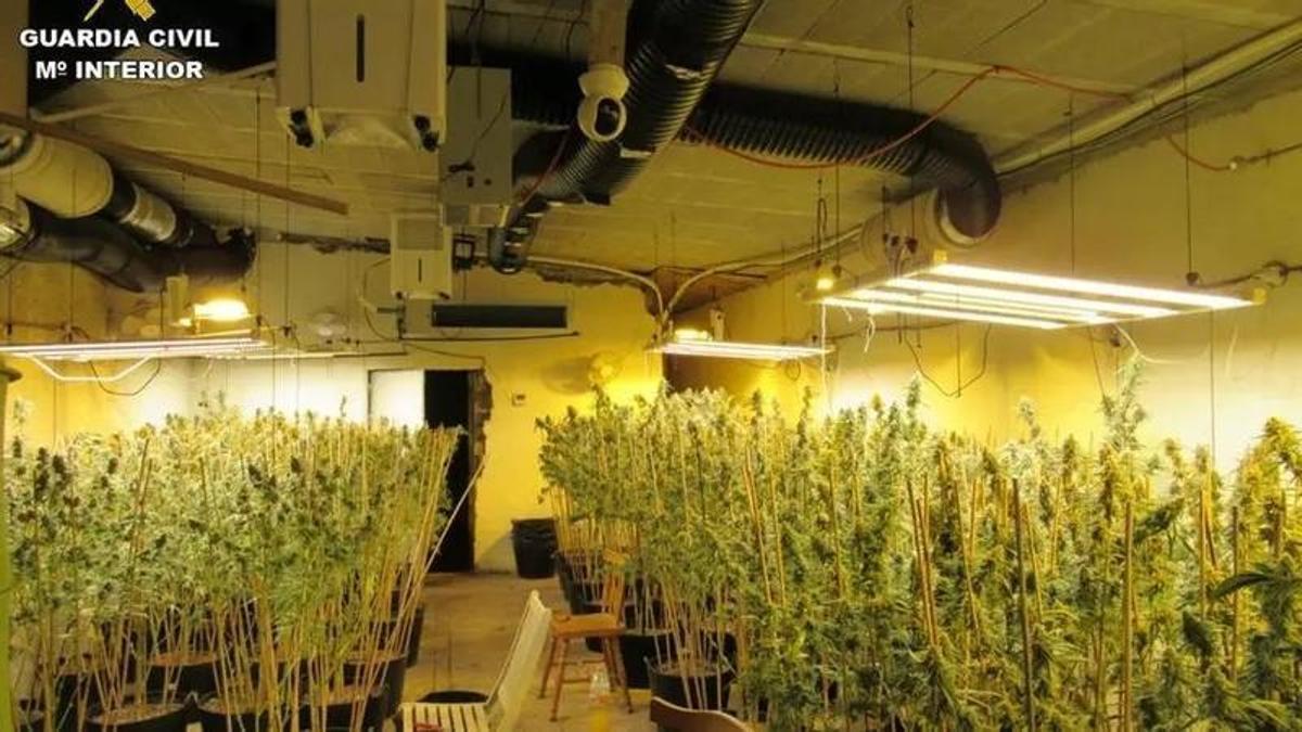 Vídeo: Absueltos siete acusados de tráfico de drogas al declarar ilegal el registro de una nave en Alicante donde había marihuana