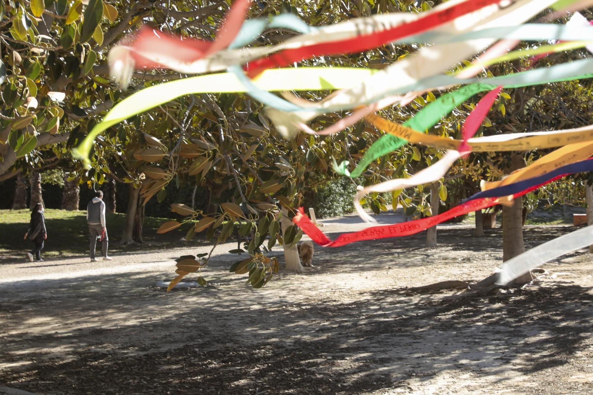 El Ayuntamiento de Alicante instala en el parque del PAU 5 un árbol de metal para que los dueños coloquen las cintas en memoria de los perros fallecidos