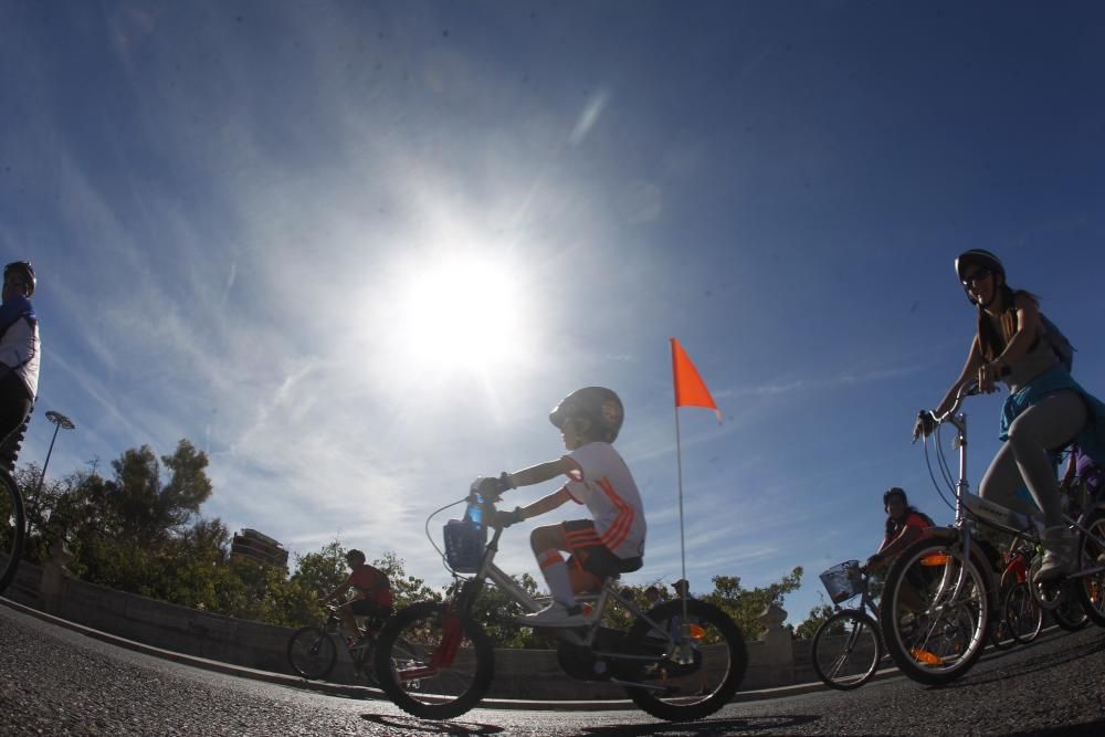 XX Día de la Bicicleta en Valencia