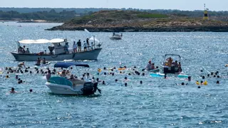La suelta de patos llena de regalos y tradición las aguas de la Colònia de Sant Jordi