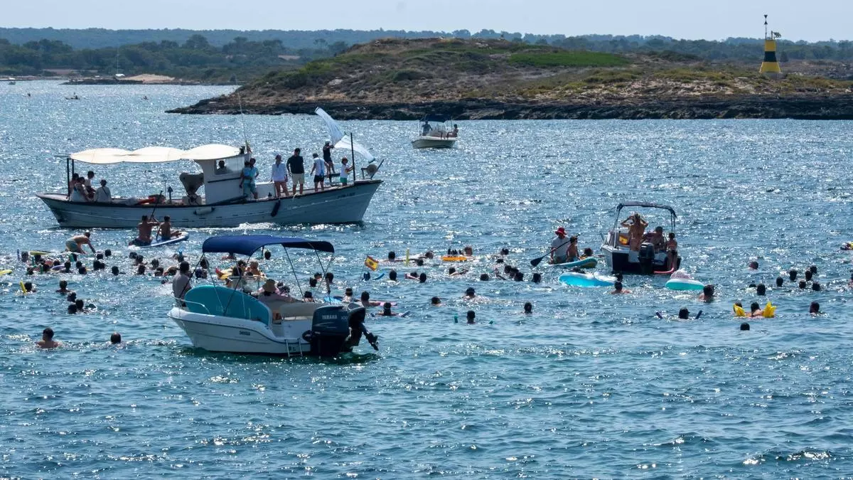 La suelta de patos llena de regalos y tradición las aguas de la Colònia de Sant Jordi
