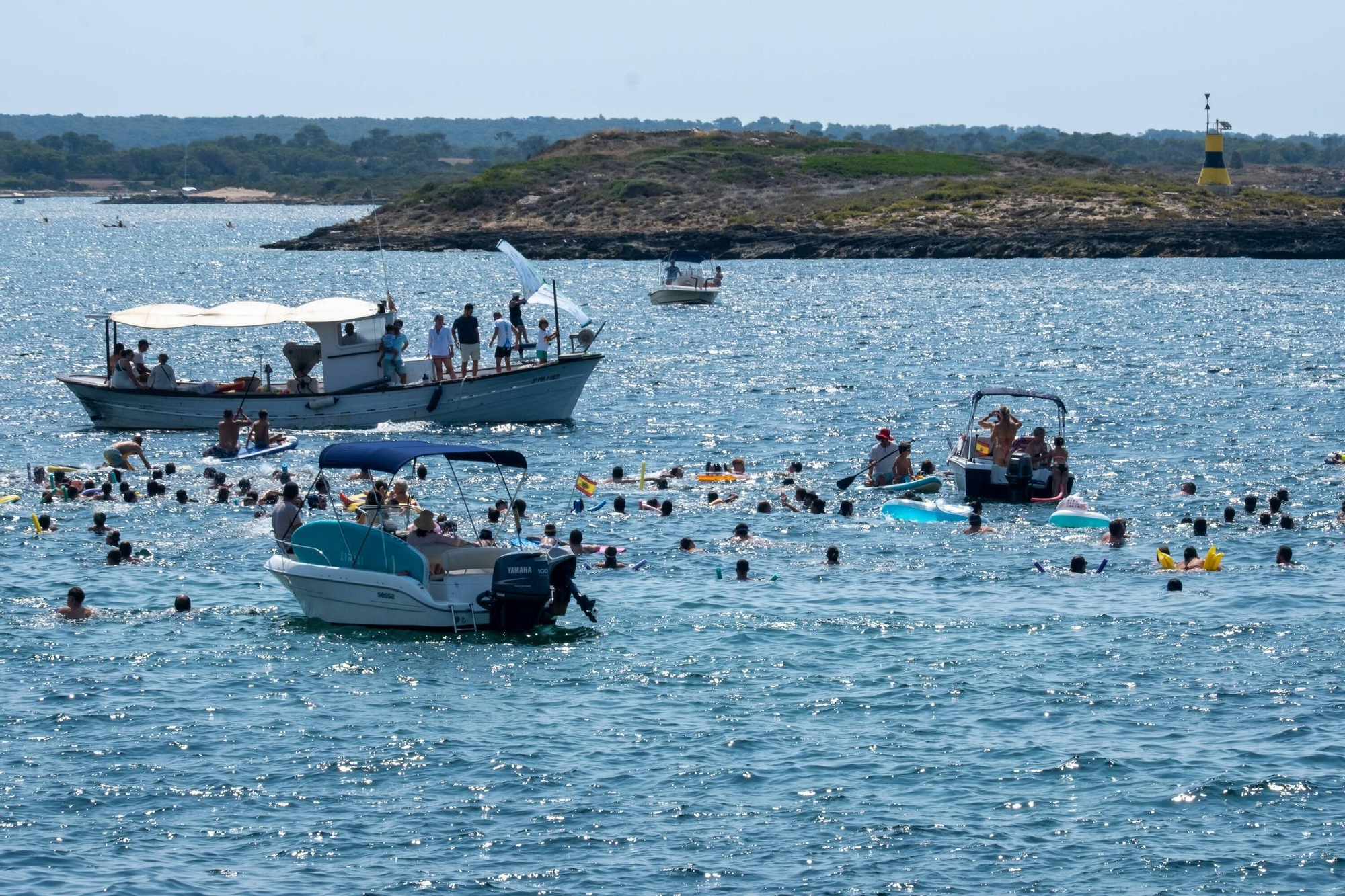FOTOS | Búscate en la suelta de patos de la Colònia de Sant Jordi