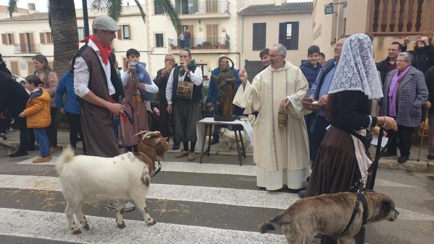 Las ‘Beneïdes’ de Sant Antoni regresan a Sant Miquel tras dos años de ausencia