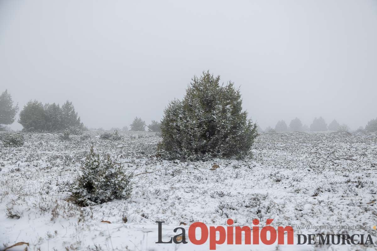 Nieve en el Noroeste