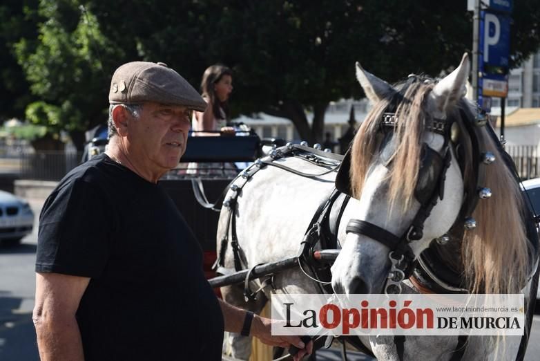 Ruta a caballo desde la ciudad al corazón de la hu