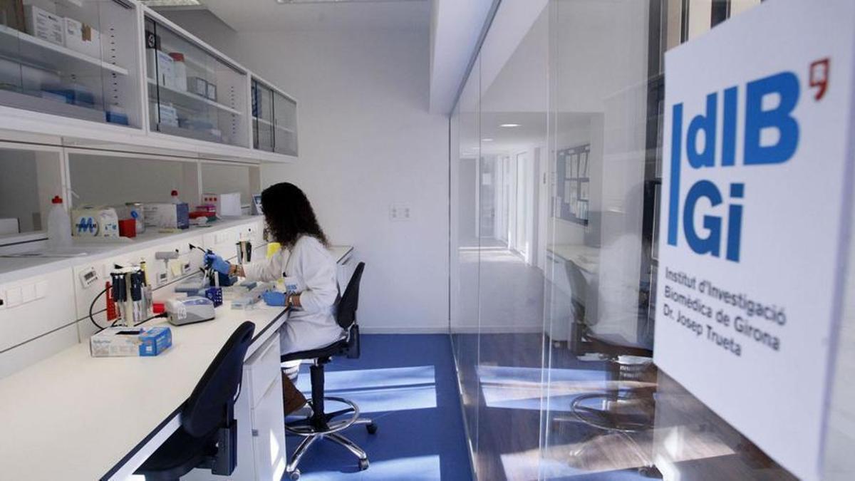 Un dels laboratoris de l'Idibgi en una imatge d'arxiu.