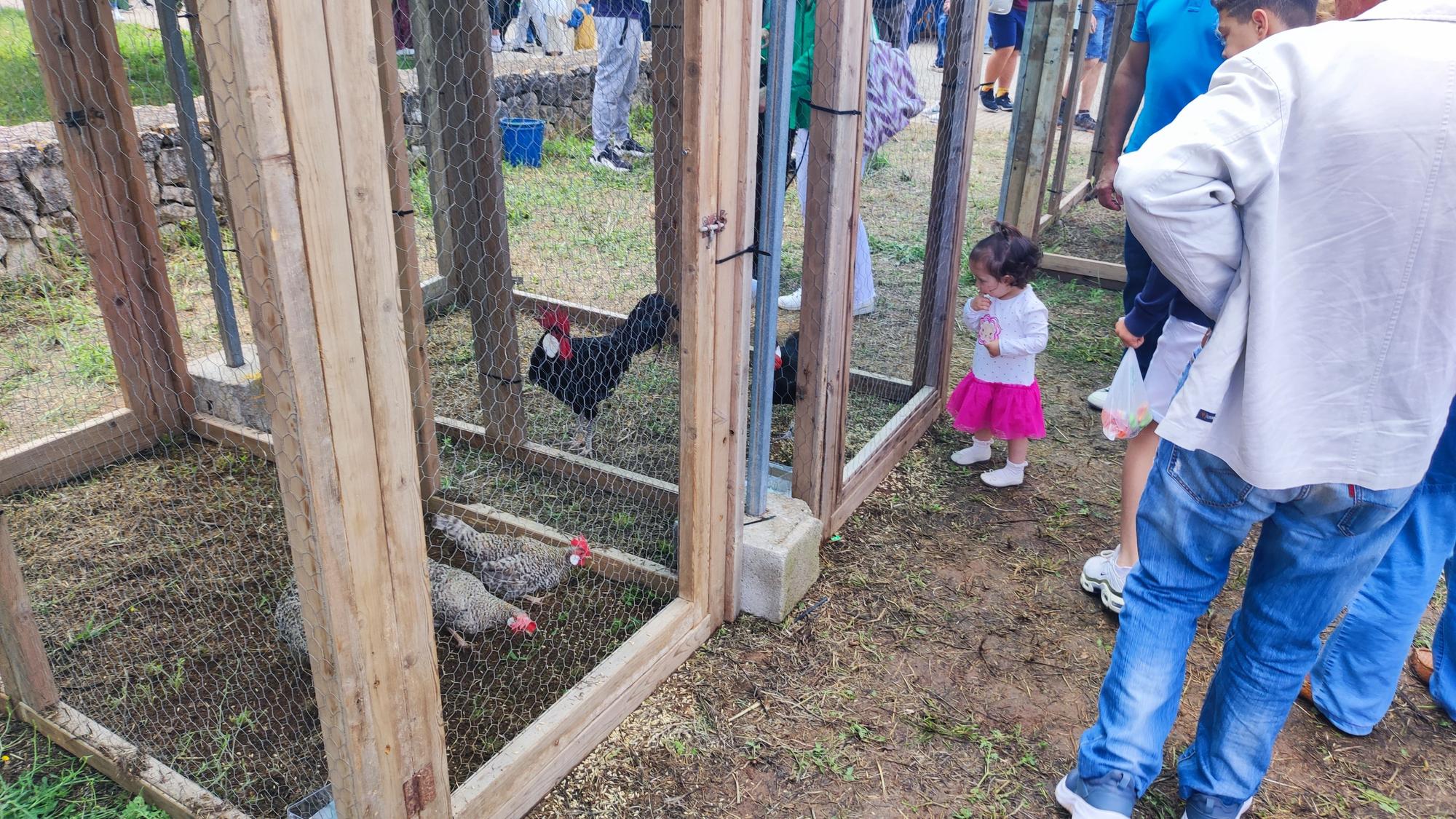 Ferias para todos los gustos