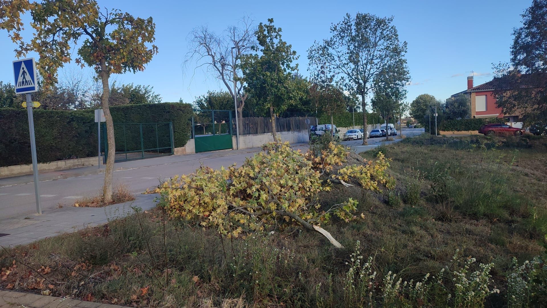 Indidències pel temporal de vent a les comarques gironines