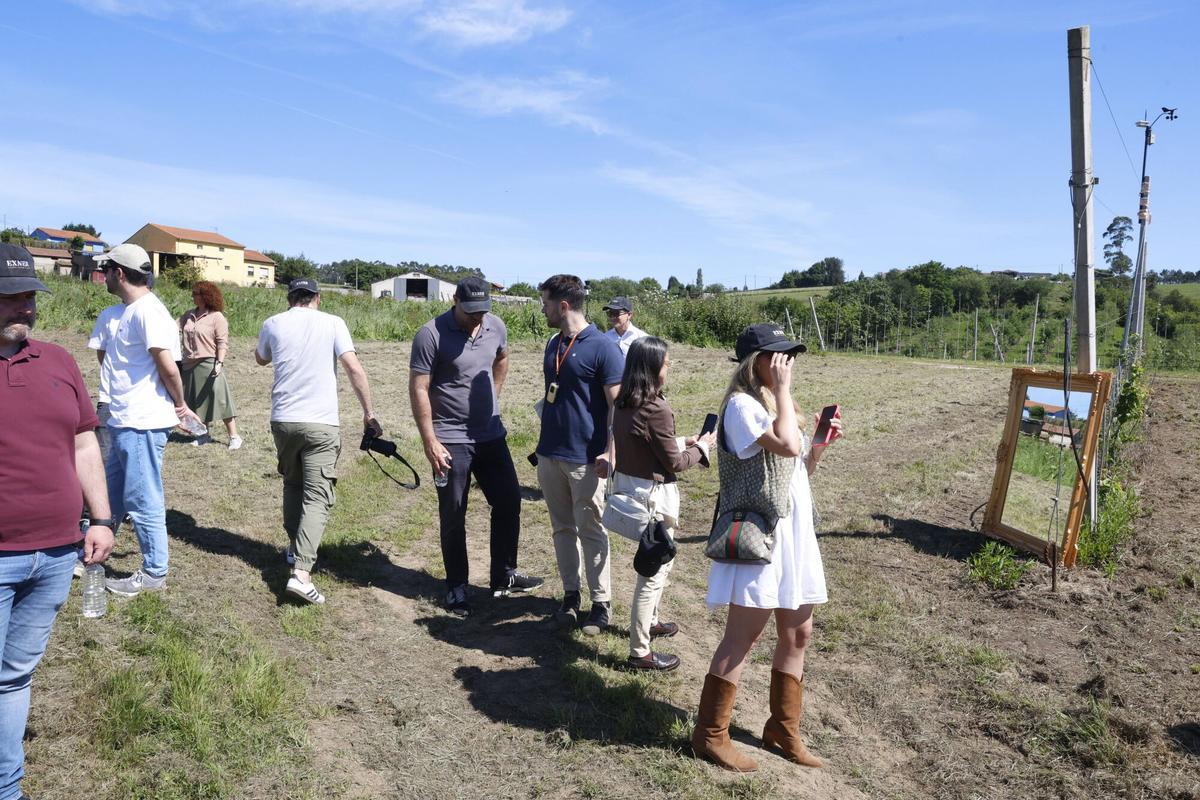 EN IMÁGENES: La Finca Gallinal abres sus puertas al "sidroturismos": una pumarada de 40 hectáreas y 20.000 manzanos