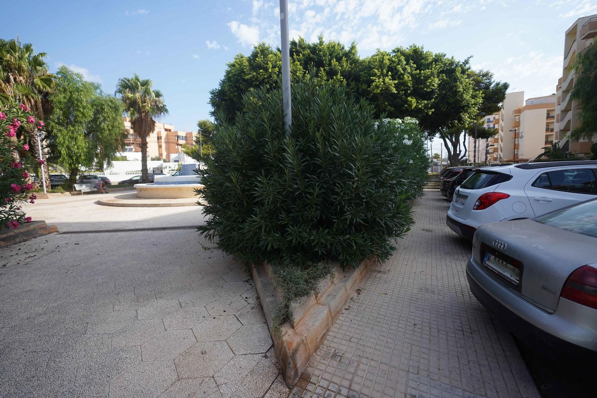 Galería: Este es el estado del barrio de Platja d'en Bossa