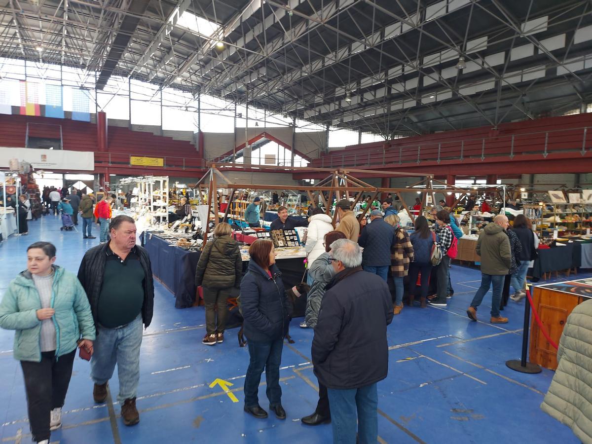 En imágenes: Éxito de la primera feria de fósiles, meteoritos y minerales de Vegadeo