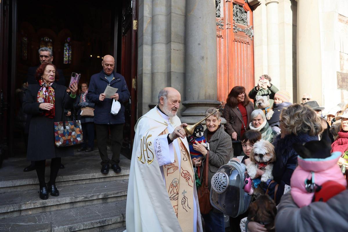 EN IMÁGENES: Oviedo bendice a sus mascotas por San Antón