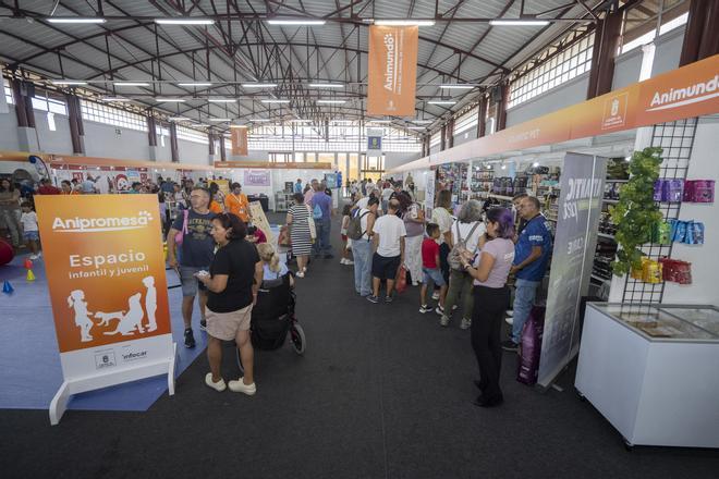 Animundo abre sus puertas en busca de adopciones para toda la vida