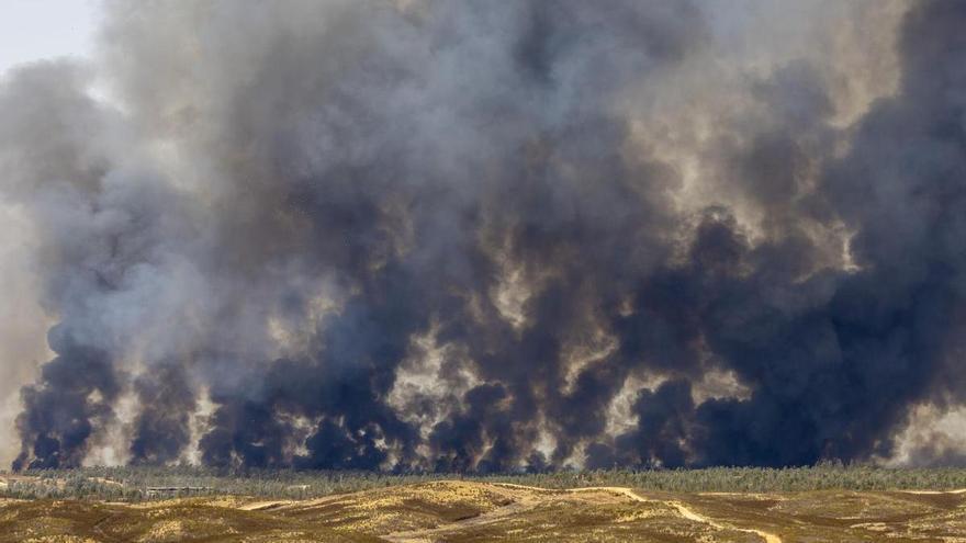 El incendio de Niebla supera las 8.000 hectáreas y amenaza poblaciones de Huelva: "Es imprevisi ...