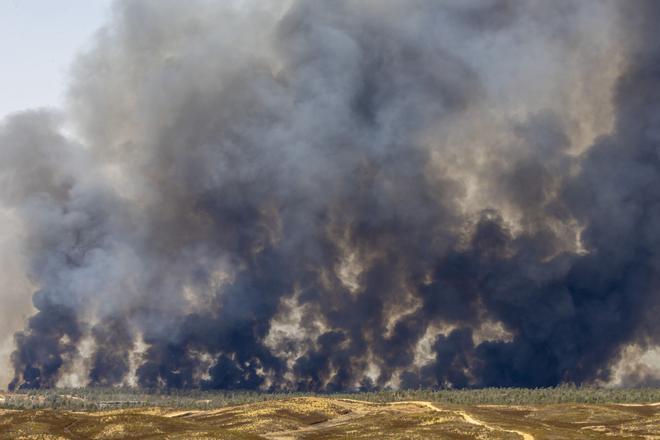 El incendio de Niebla supera las 8.000 hectáreas y amenaza poblaciones de Huelva: "Es imprevisible, peligroso y complejo"