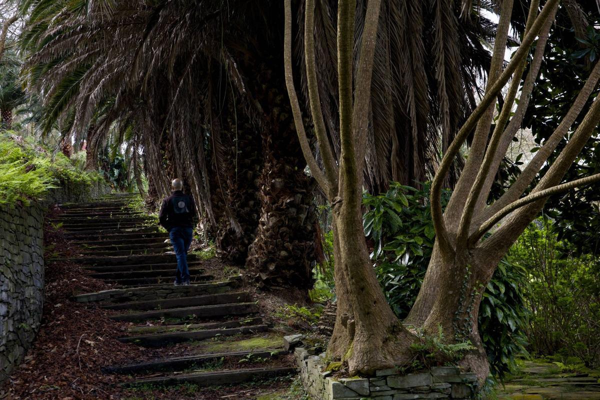 EN IMÁGENES: Así es el bosque-jardín de Luarca EN IMÁGENES: Así es el bosque-jardín de Luarca