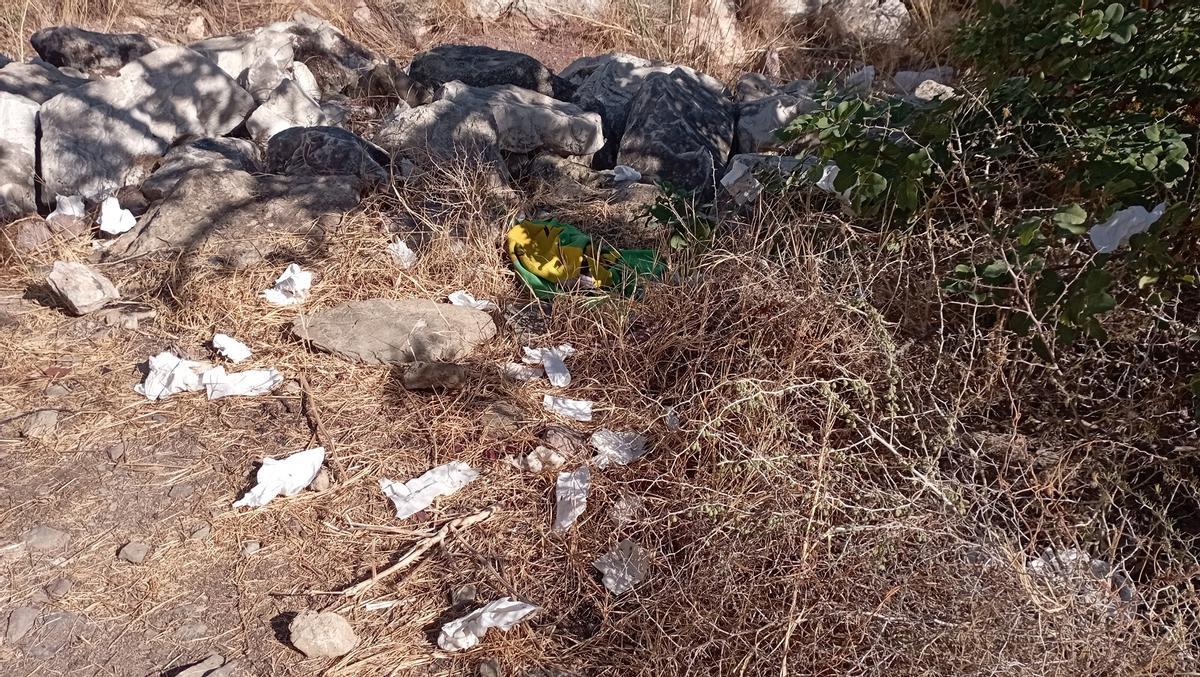 Posibles rastos de alguna 'maldición de Moctezuma' de ida y vuelta, junto al arroyo Mendelín.