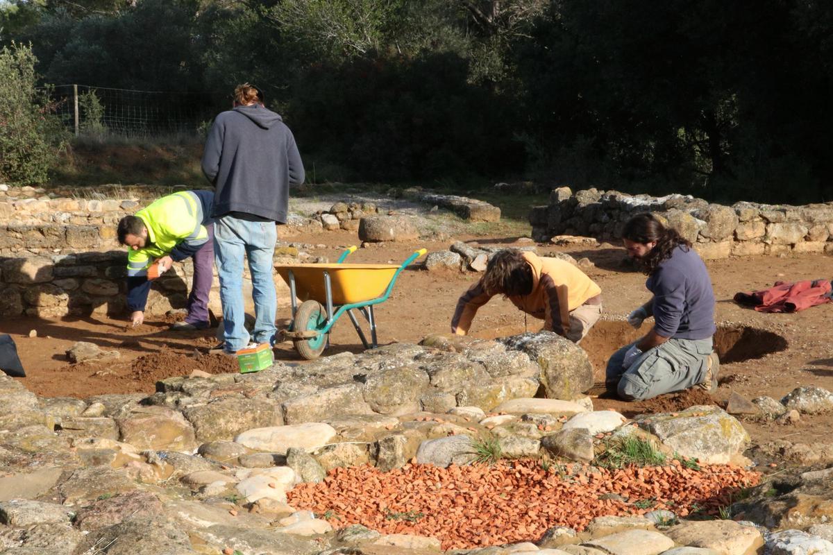 Els arqueòlegs treballant al jaciment del Mas Castellar, en una imatge del 2023.