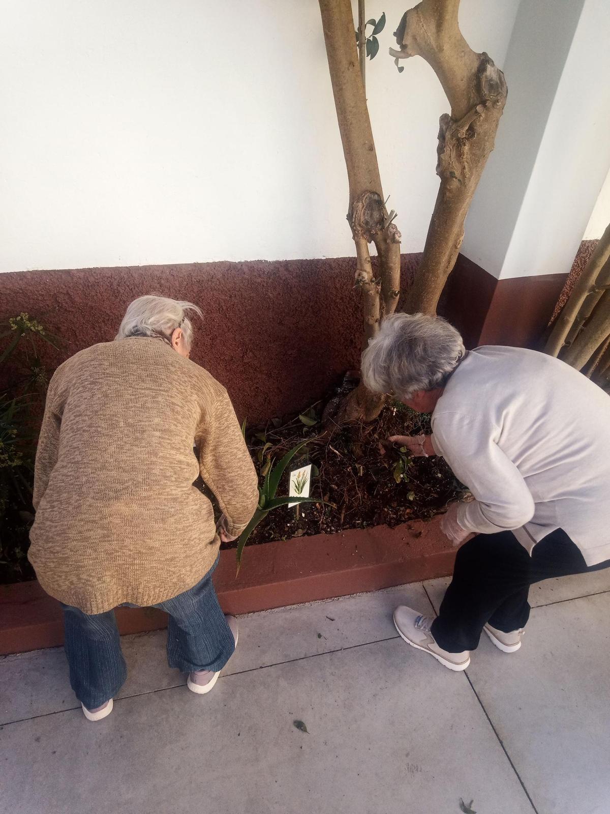 Mente activa, vida activa en Centro Aguere