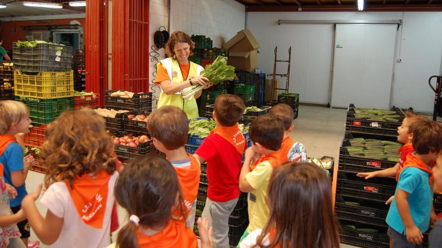 Más de 10.600 escolares asisten a talleres sensoriales con frutas y hortalizas