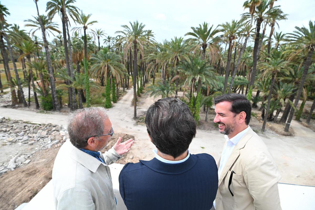 El bipartito de Elche quiere abrir al público con una fiesta el Hort del Gat antes de las Fiestas de Agosto
