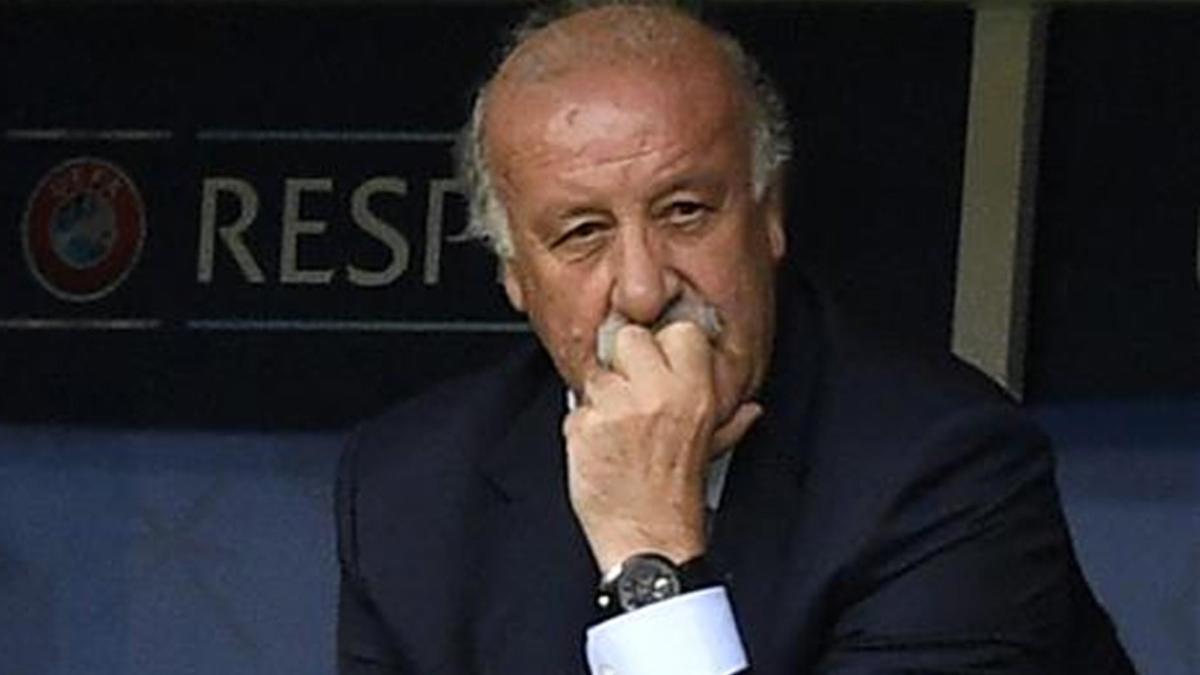 Del Bosque no seguirá al frente de la selección española