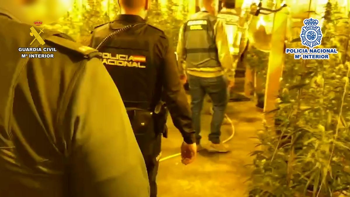 Agentes de la Guardia Civil y del Cuerpo Nacional de Policía en una de las naves donde se cultivaba marihuana