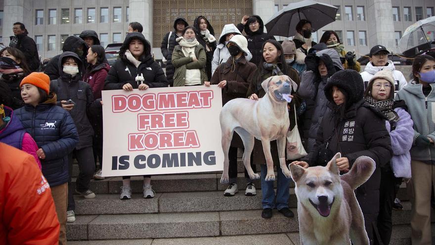 Corea del Sur aprobó hoy prohibir la cría, matanza, distribución y venta de carne de perro para consumo humano