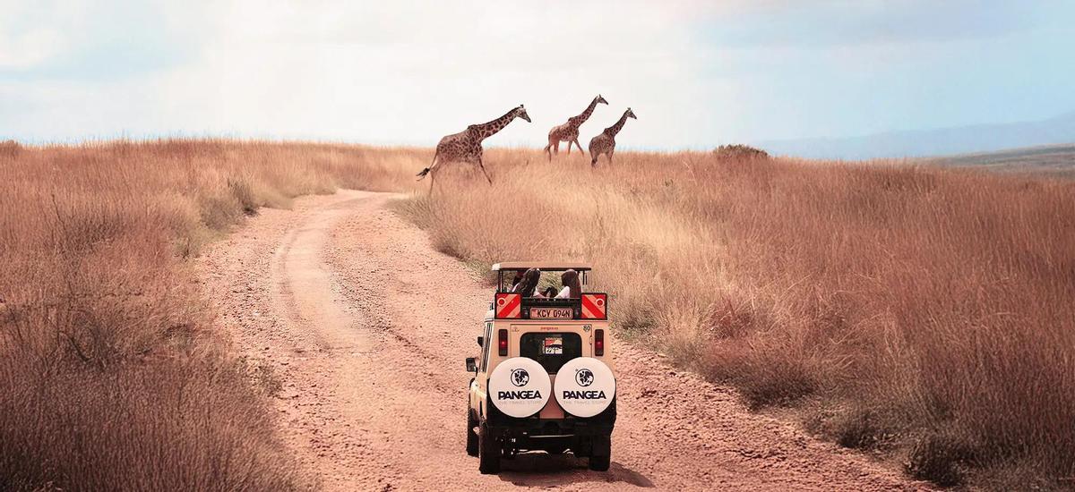 Hacer un safari es una de las grandes experiencias viajeras