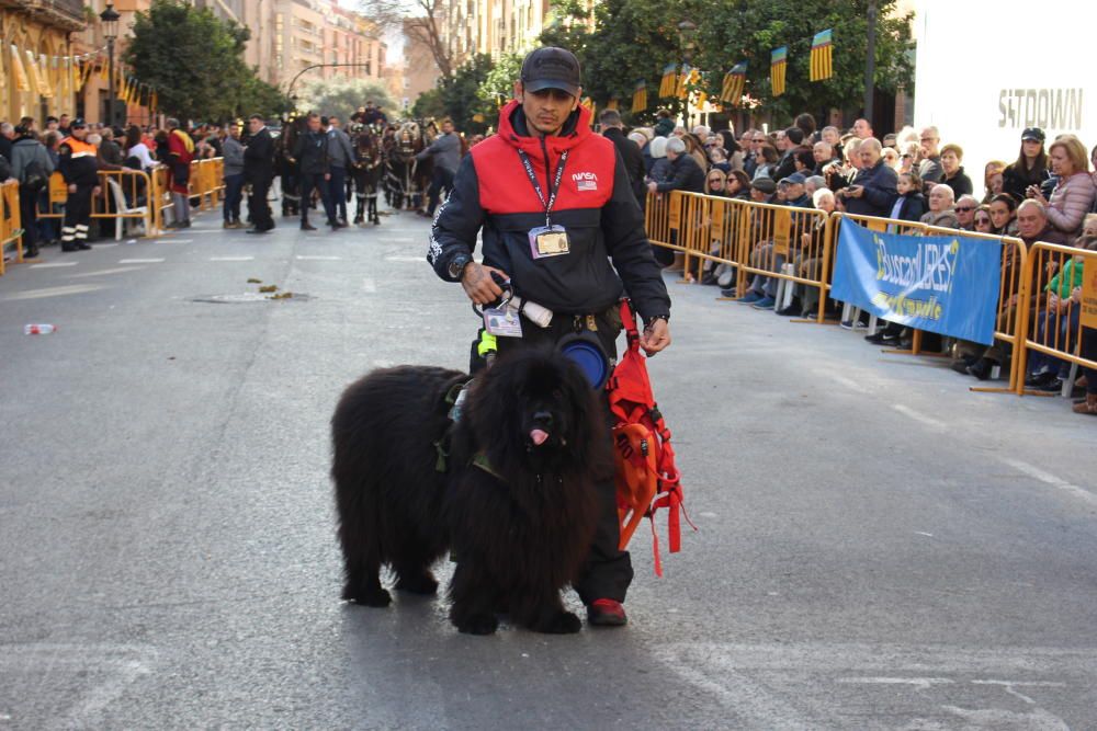 Fiesta de Sant Antoni en la ciudad de València