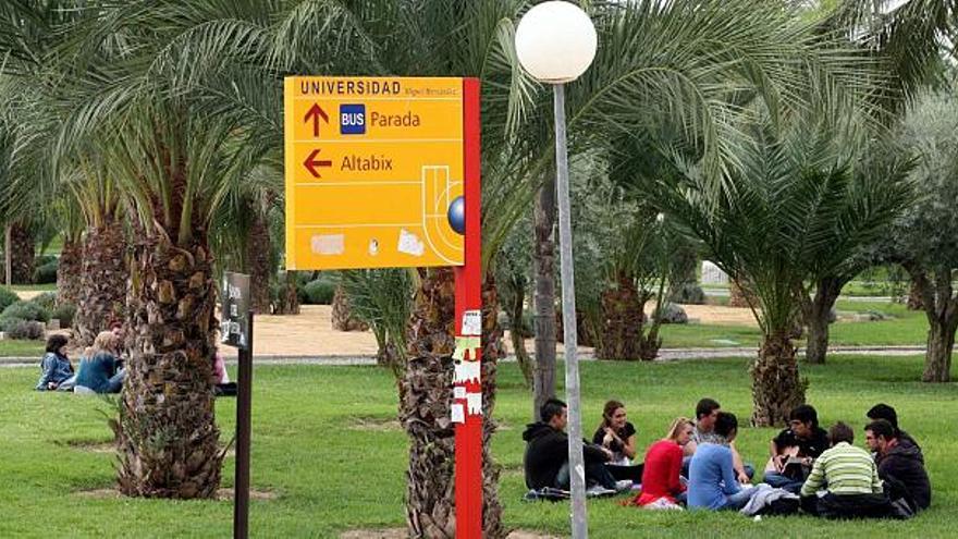 Alumnos en el campus de Elche de la Universidad Miguel Hernández, en una imagen retrospectiva.